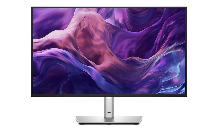 Dell P2425H - LED monitor - Full HD (1080p) - 24