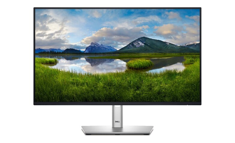 Dell 24 Inch IPS Display Monitor - P2425H | Dell USA