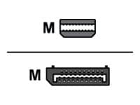 Proline - DisplayPort cable - Mini DisplayPort to DisplayPort - 49 ft