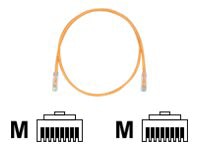 Panduit Cat.6 UTP Patch Cord