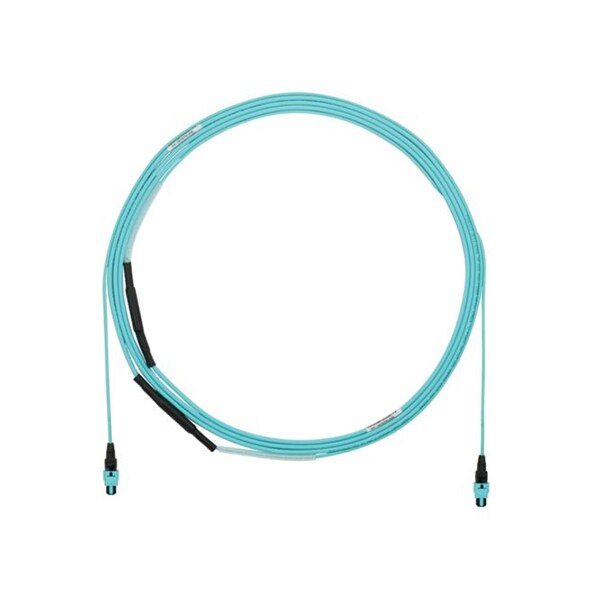 Panduit trunk cable - 6.1 m - aqua