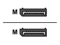 Proline - DisplayPort cable - DisplayPort to DisplayPort - 10 ft