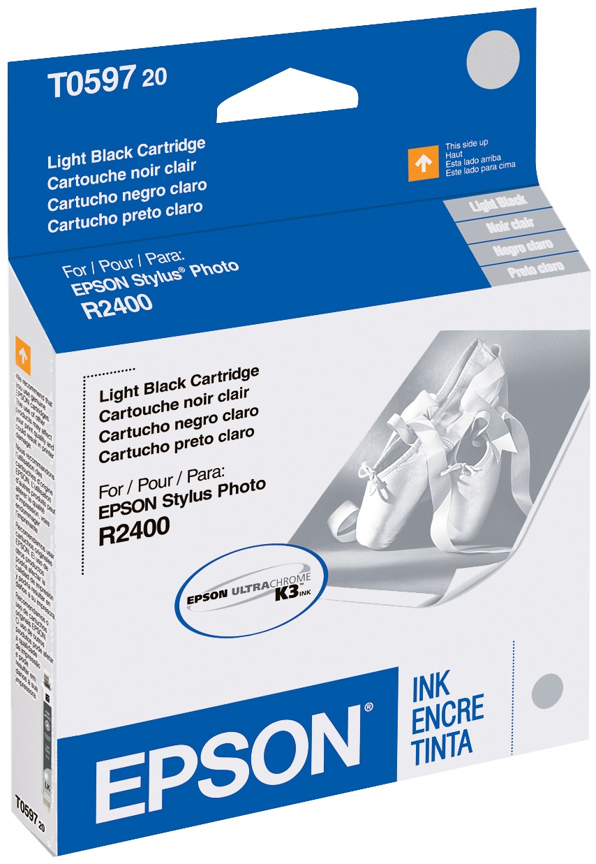 Epson R2400 Light Black Ink Cartridge