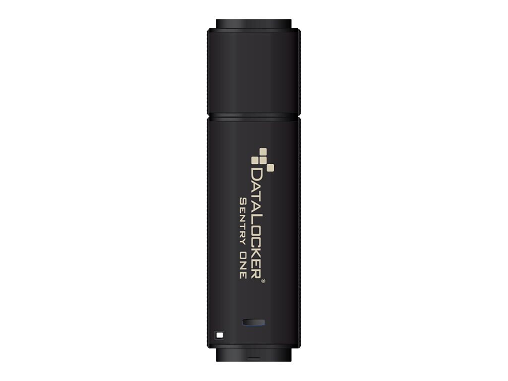 DataLocker Sentry ONE Encrypted Flash Drive