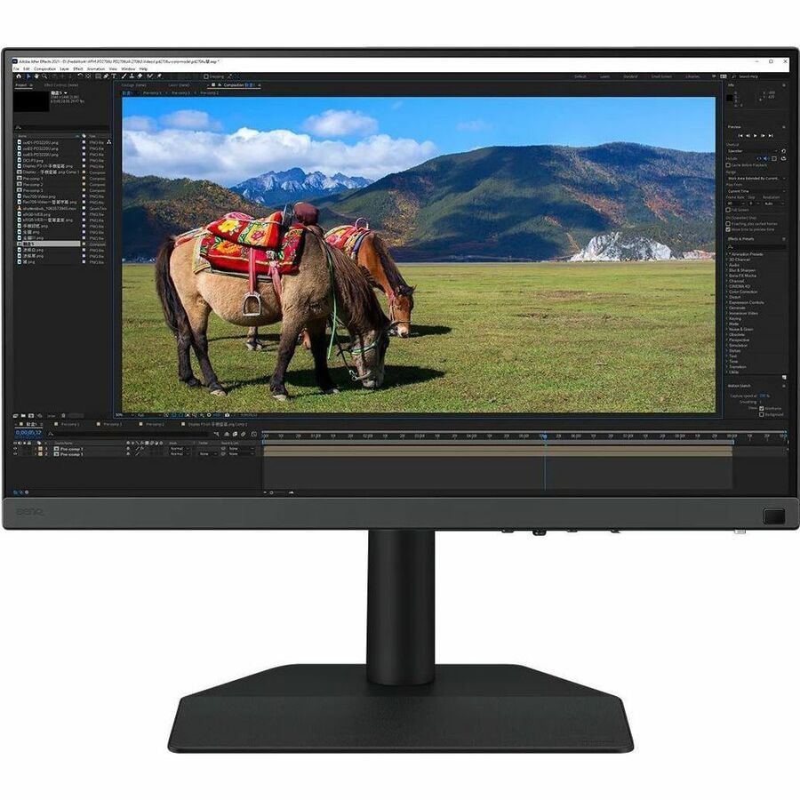 BenQ PhotoVue SW242Q - SW Series - LED monitor - 24.1" - HDR