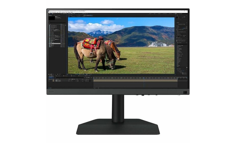 BenQ PhotoVue SW242Q - SW Series - LED monitor - 24.1