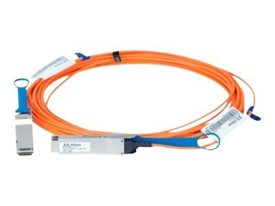 Dell 100GBase direct attach cable - 10 m - 10 m