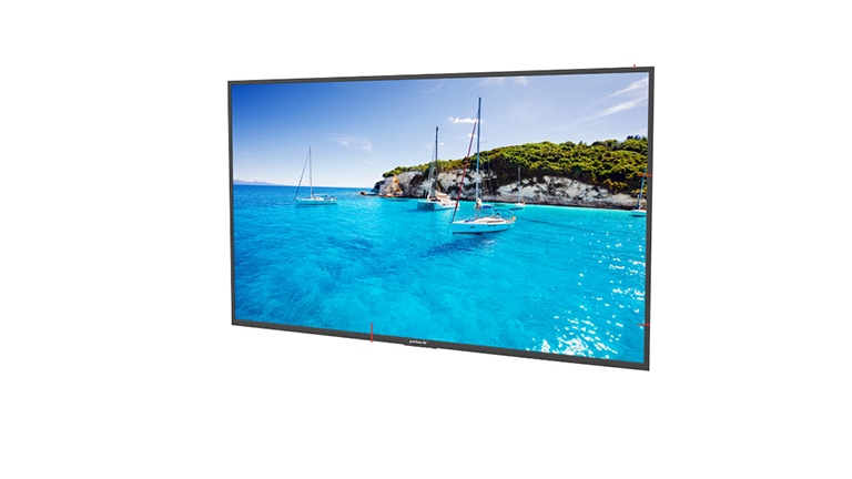 Peerless-AV Neptune 55" 4K Full Sun AV Outdoor Smart TV - Black