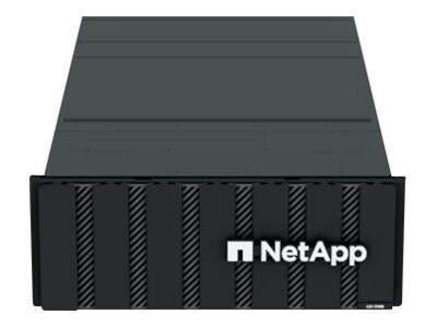NetApp ASA C-Series ASA C400 - High Availability - NAS