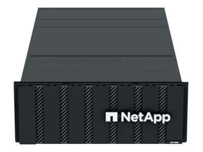 NetApp ASA C-Series ASA C400 - High Availability - NAS server