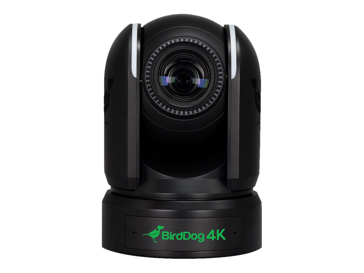 BirdDog P4K - network surveillance camera