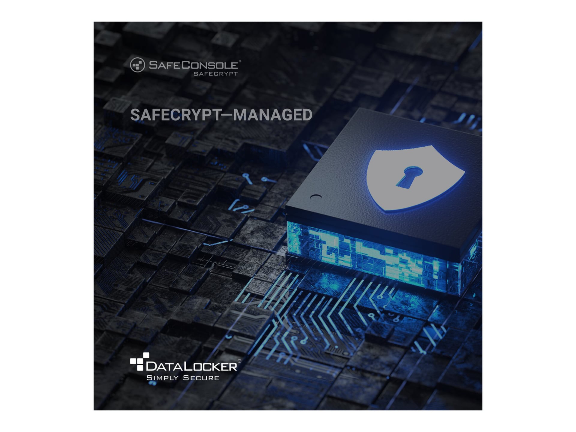 SafeCrypt Managed - subscription license (1 year) - 1 license
