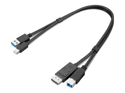 Lenovo Dual Head - display / USB cable kit - USB Type A, DisplayPort to Min