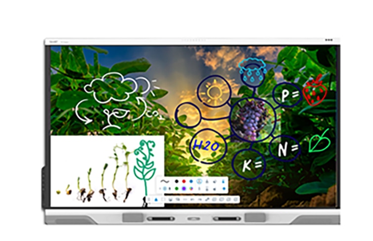 SMART BOARD RX065 INTERACTIVE DISP