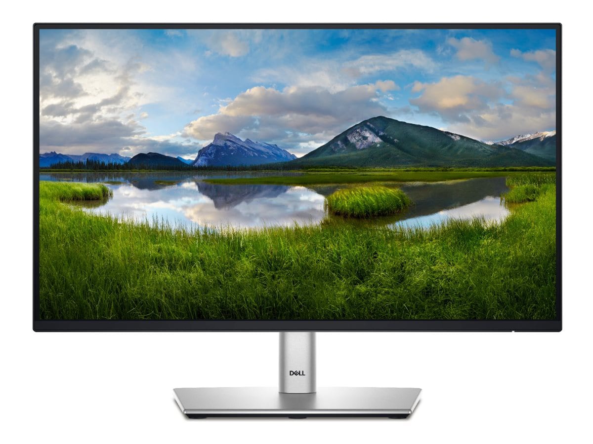 Dell P2225H - LED monitor - Full HD (1080p) - 22"