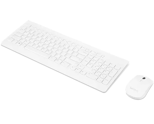 Lenovo 510 Combo - keyboard and mouse set - US Input Device