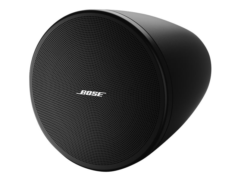 Bose DesignMax DM3P - speaker