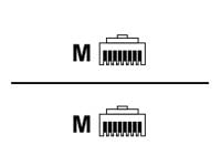 Black Box patch cable - 10 ft - red