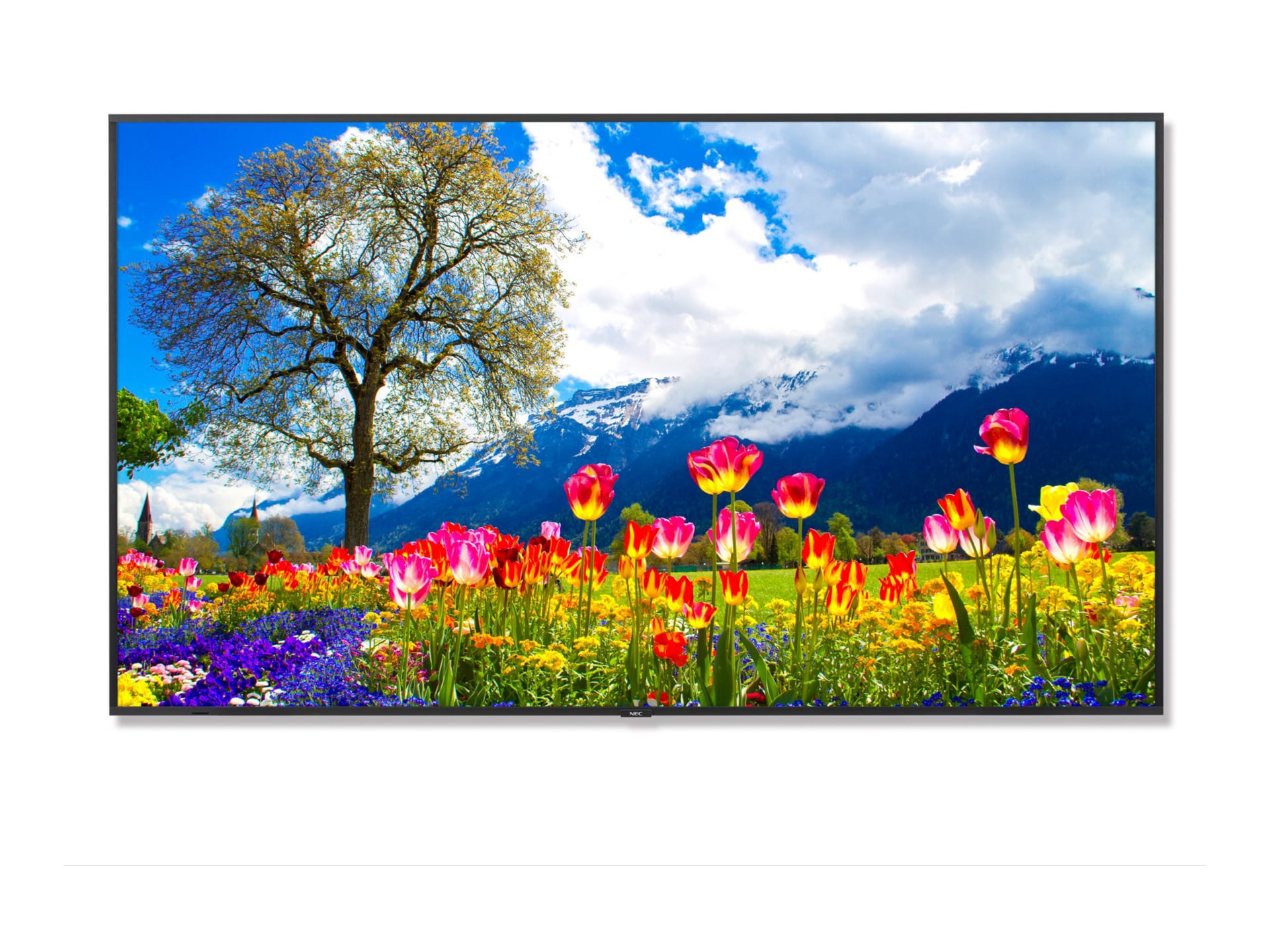 NEC M981 M Series - 98" LED-backlit LCD display - 4K - for digital signage