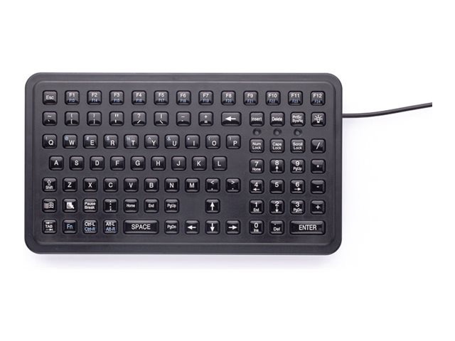 iKey SLP-91 - keyboard - panel mount Input Device