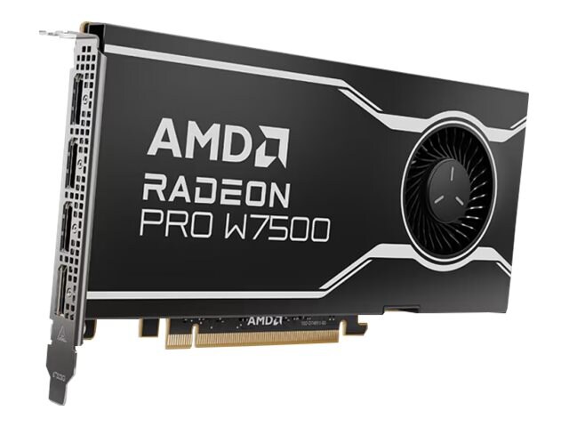 AMD Radeon Pro W7500 - carte graphique - Radeon Pro W7500 - 8 Go