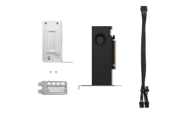 NVIDIA RTX 2000 Ada - graphics card - NVIDIA RTX 2000 Ada - 16 GB