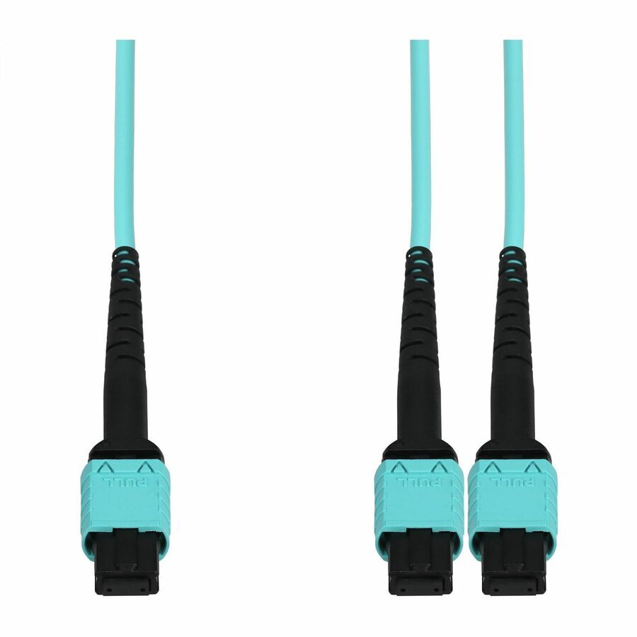 Proline 3m MPO-12 to 2xMPO-12 Aqua OM4 OFNR (Riser-Rated) 12-Strand MMF Fiber Fanout Cable