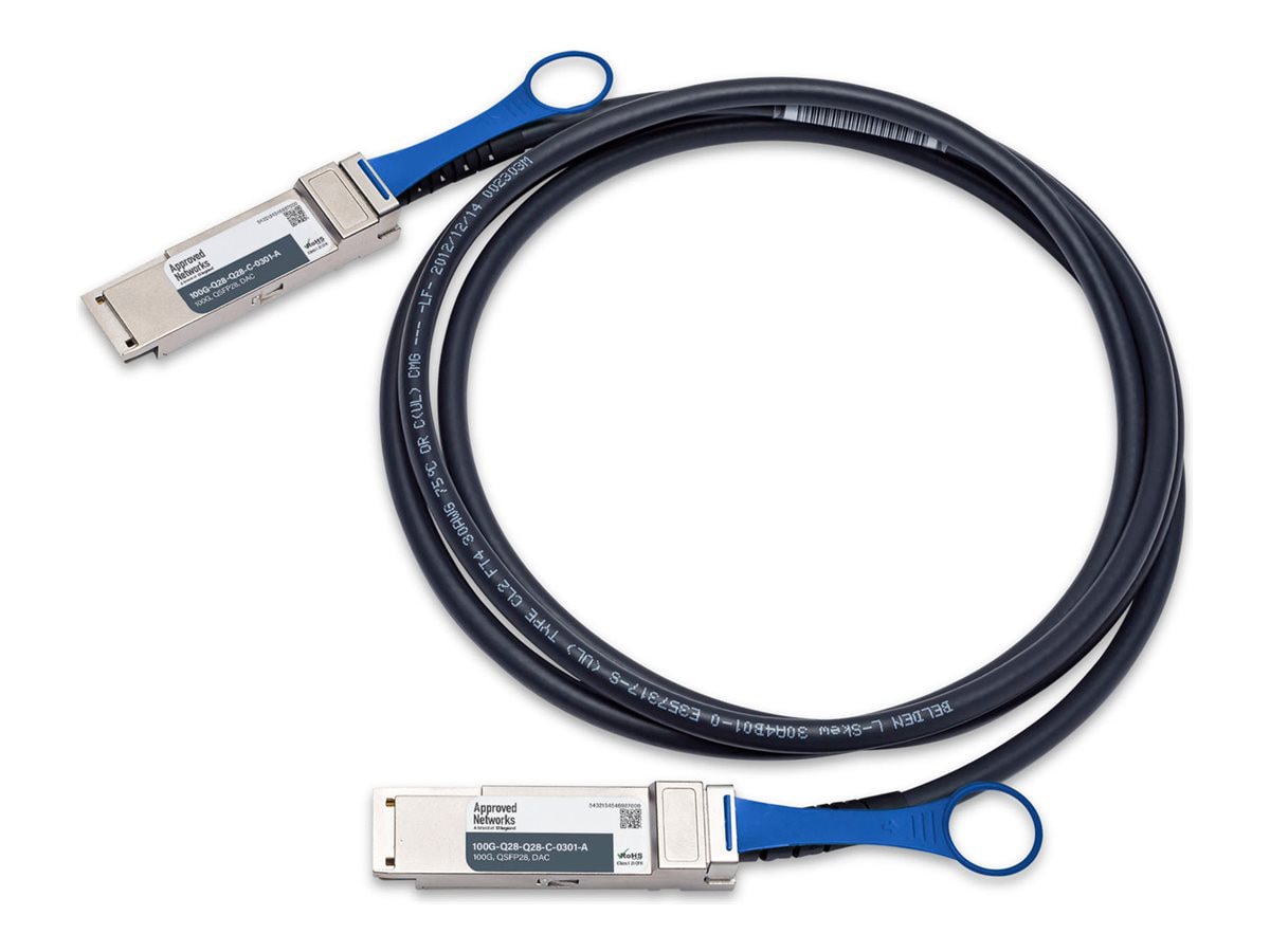 Approved Networks 100GBase-CR4 direct attach cable - 10 ft