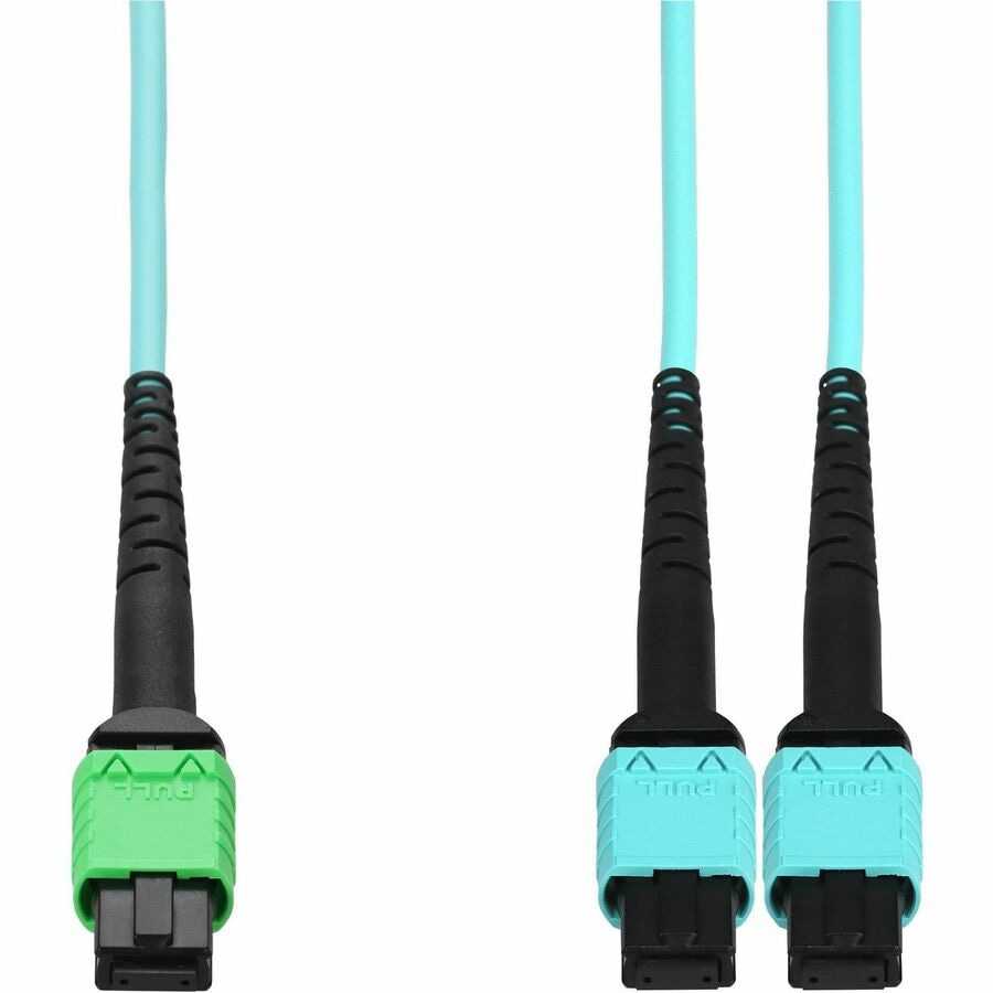 Proline 5m MPO/APC to 2xMPO/UPC Aqua OM4 OFNR (Riser-Rated) 16-Strand Fiber Fanout Cable