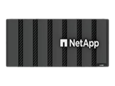 NetApp SG6160 4U 60x12TB Flash Array