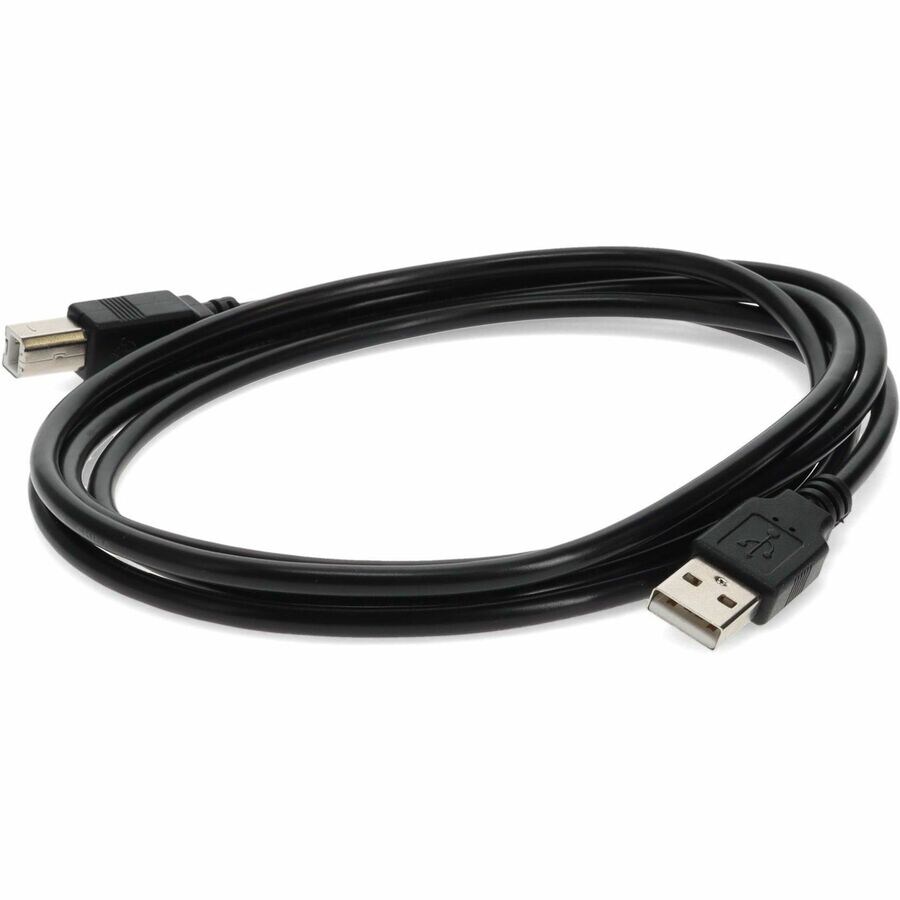 Proline 10ft USB A 2.0 Male to USB B 2.0 Male Black Cable