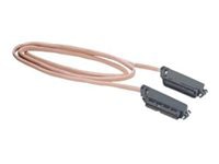 Black Box patch cable - 15 ft - gray