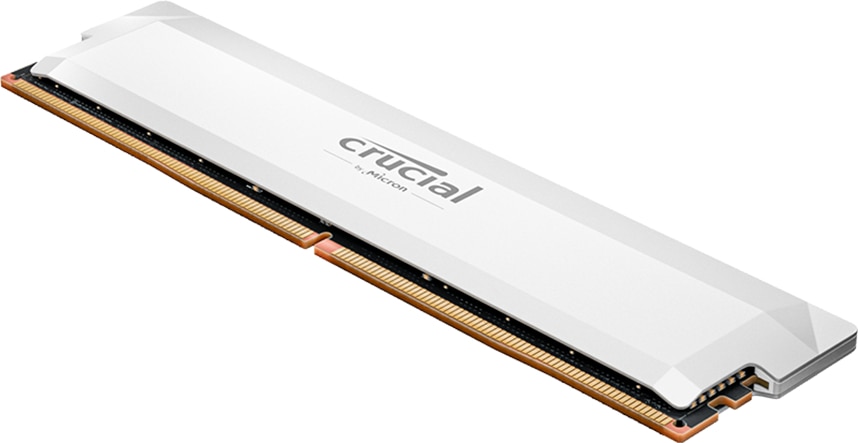 Crucial Pro - Overclocking Edition - DDR5 - module - 16 GB - DIMM 288-pin -