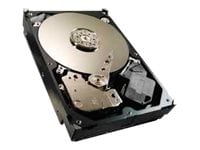 Seagate Video 3.5 HDD ST500VM000 - hard drive - 500 GB - SATA 6Gb/s