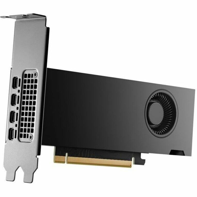 HP NVIDIA RTX 2000 ADA