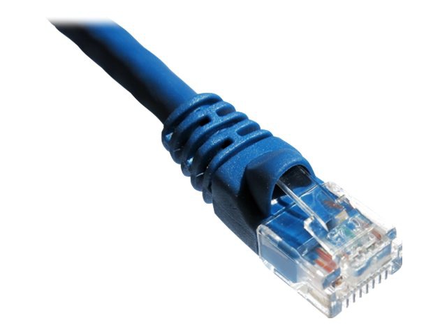 Axiom patch cable - 100 ft - blue