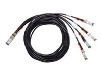 Cisco 100GBase-CR2 direct attach cable - 3.3 ft