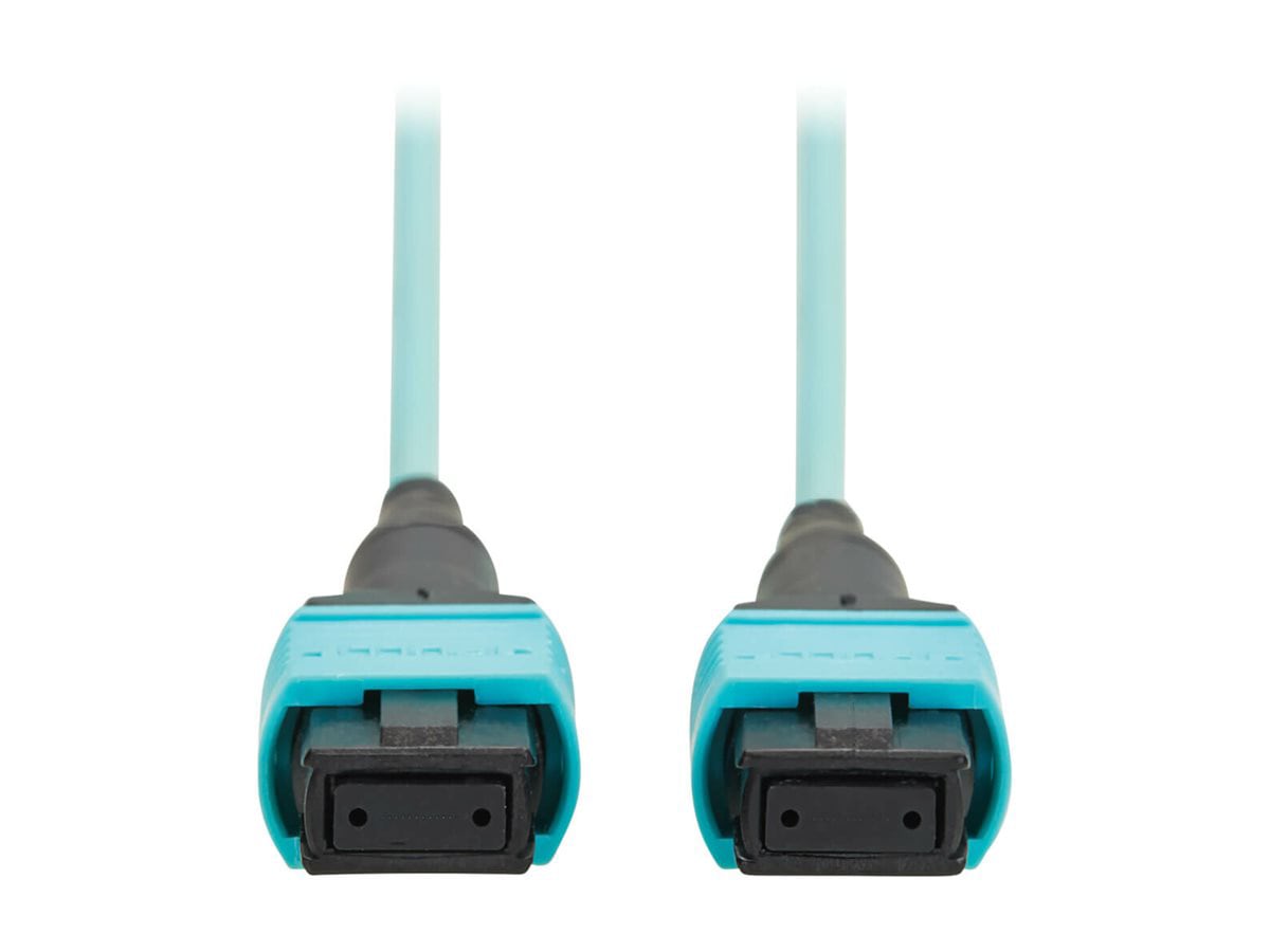 Eaton Tripp Lite Series network cable - TAA Compliant - 1.01 m - aqua