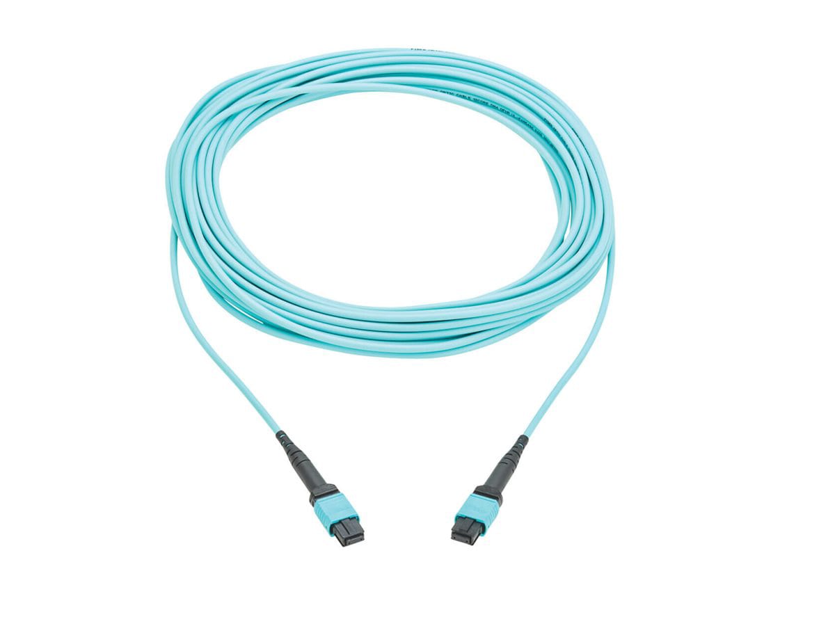 Eaton Tripp Lite Series network cable - TAA Compliant - 10 m - aqua