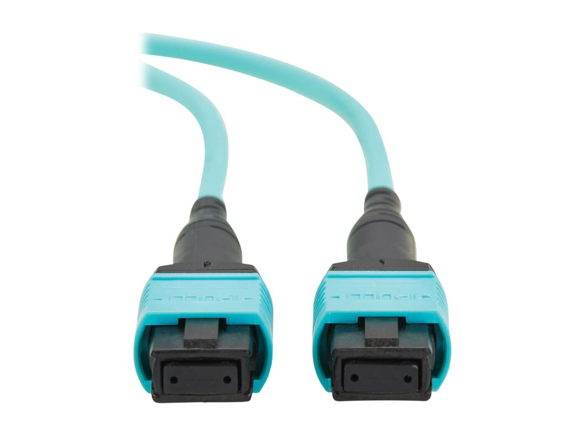 Eaton Tripp Lite Series network cable - TAA Compliant - 1 m - aqua