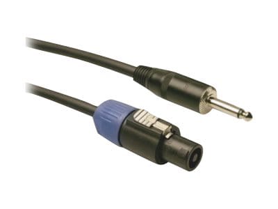 Hosa SKT 430Q - speaker cable - 30 ft