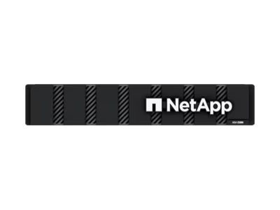 NetApp ASA C-Series ASA C250 - NAS server - 367.2 TB