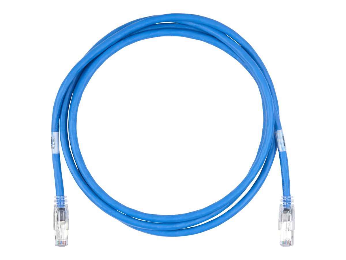 Belden patch cable - 1 ft - blue