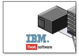 IBM Tivoli Storage Manager - Software Subscription and Support Renewal ( 1