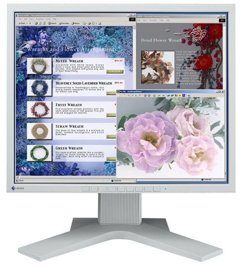 EIZO FlexScan L568