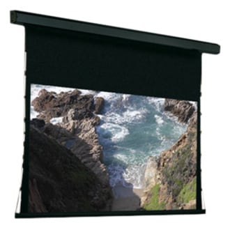 Draper Premier 120" Electric Projection Screen