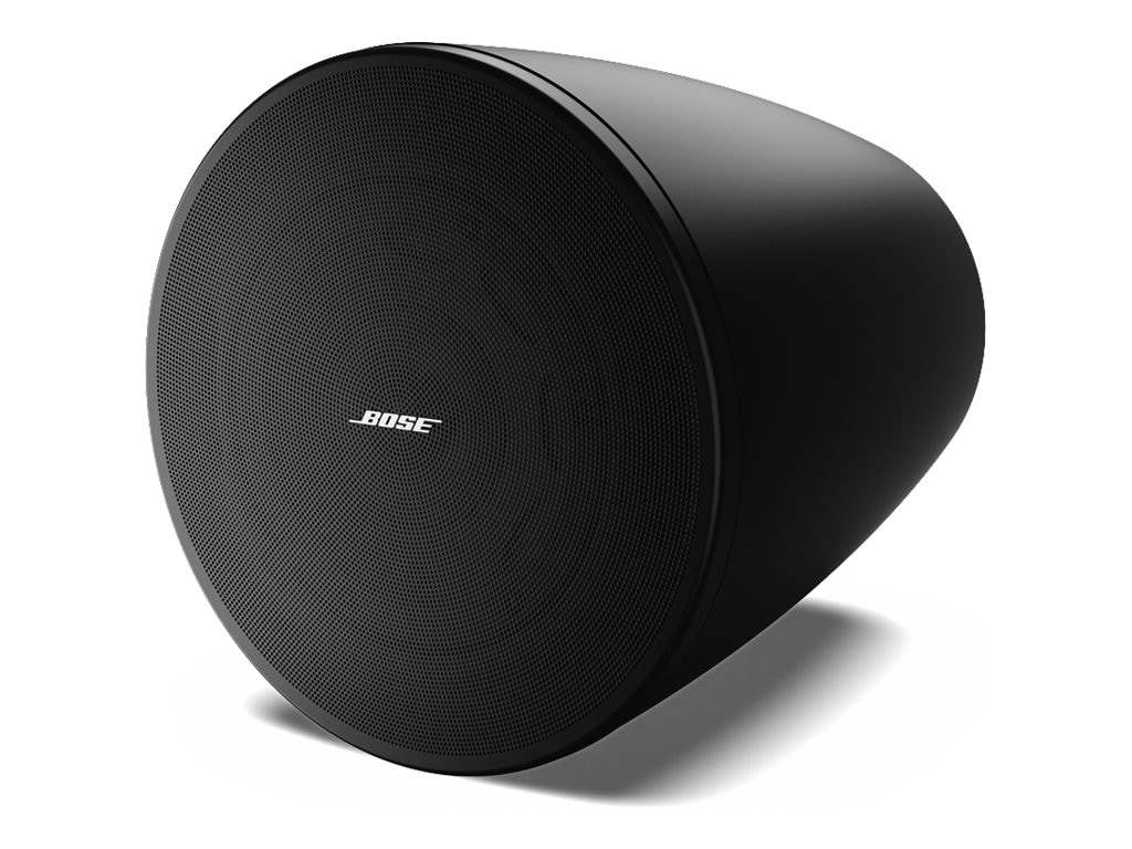 Bose DesignMax DM6PE - speaker