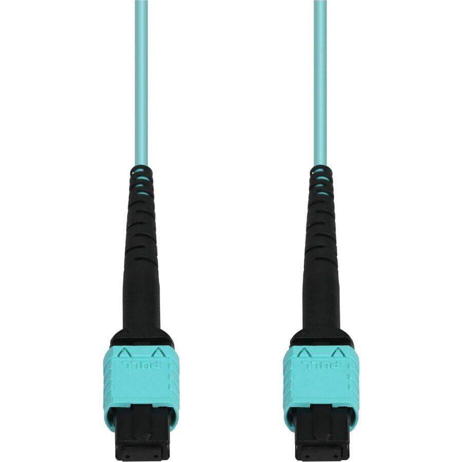 Proline 10m MPO/UPC to MPO/UPC Aqua OM4 OFNR (Riser-Rated) 24-Strand Type-A