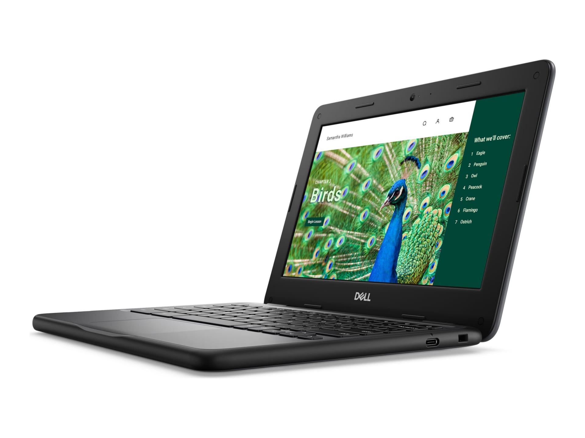Dell Chromebook 3120 (2024) - 11.6" - Intel N-series - N100 - 4 GB RAM - 64