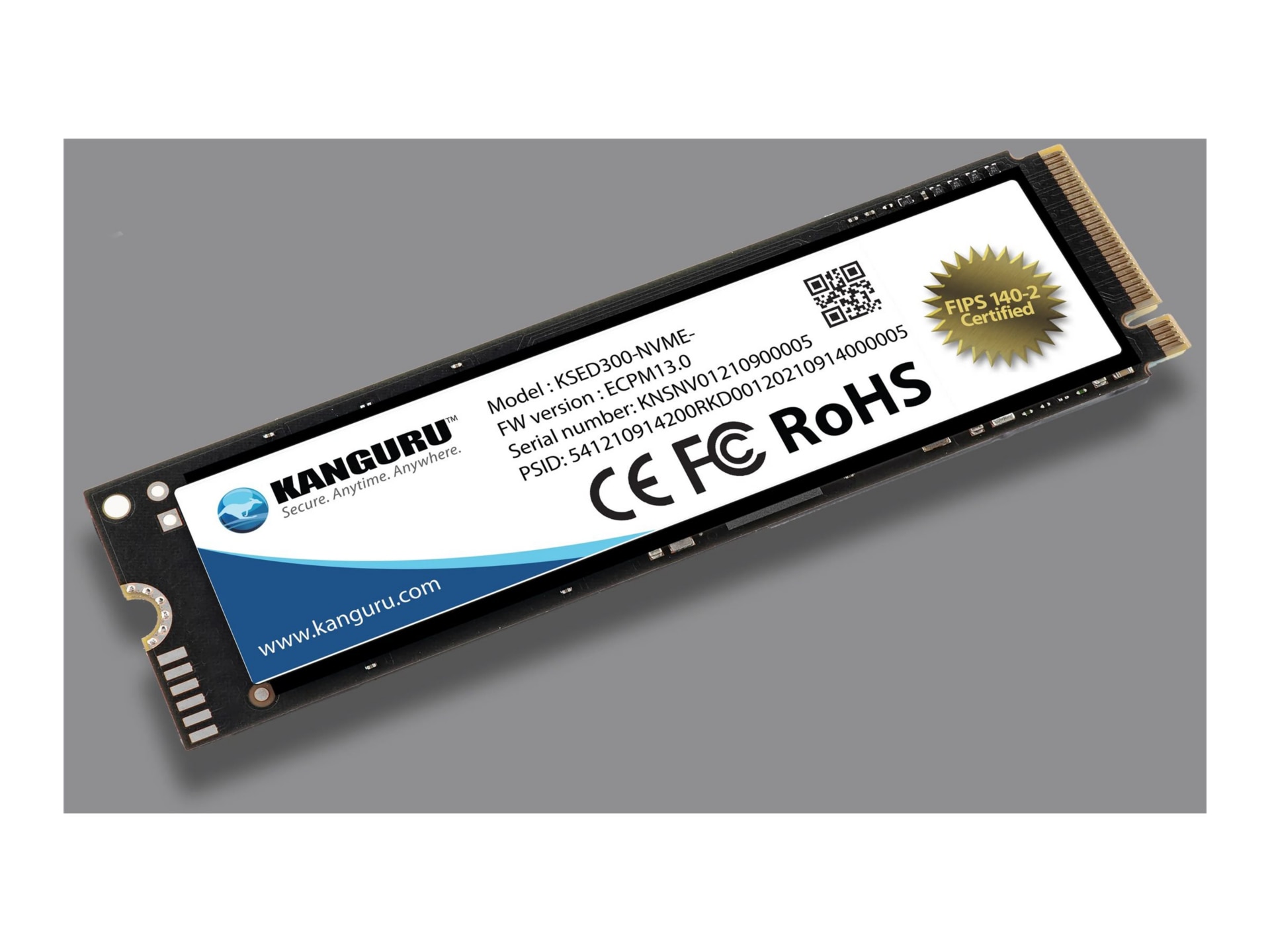 Kanguru Defender SED300 500GB FIPS 140-2 Certified M.2 NVMe Internal Self-E